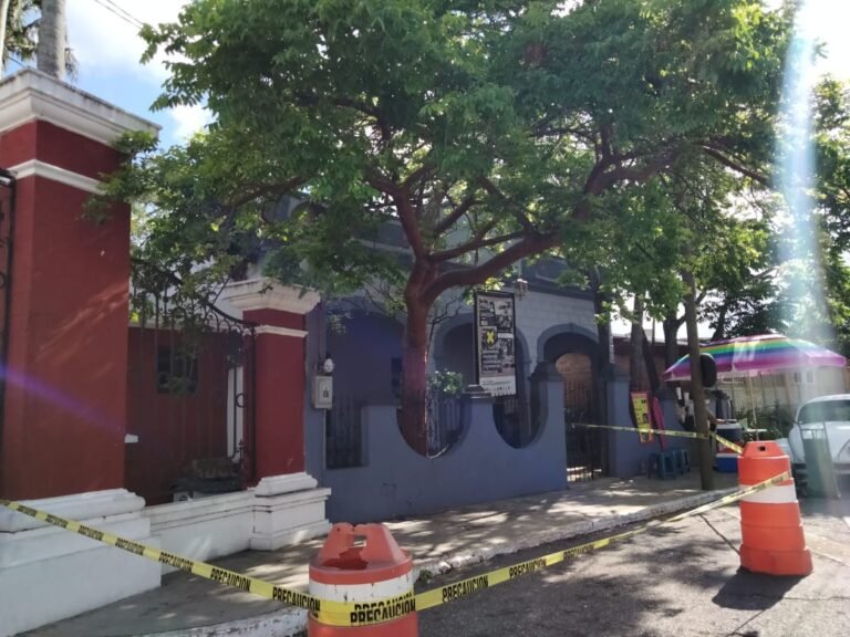 Atiende Bomberos hasta 45 panales de abejas en menos de un mes