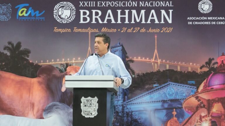 Tamaulipas entre las 5 estados del país con mayor exportación de ganado