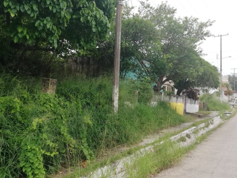 SOLARES BALDÍOS SON GRAVE RIESGO  PARA  LA SALUD EN PUEBLO VIEJO
