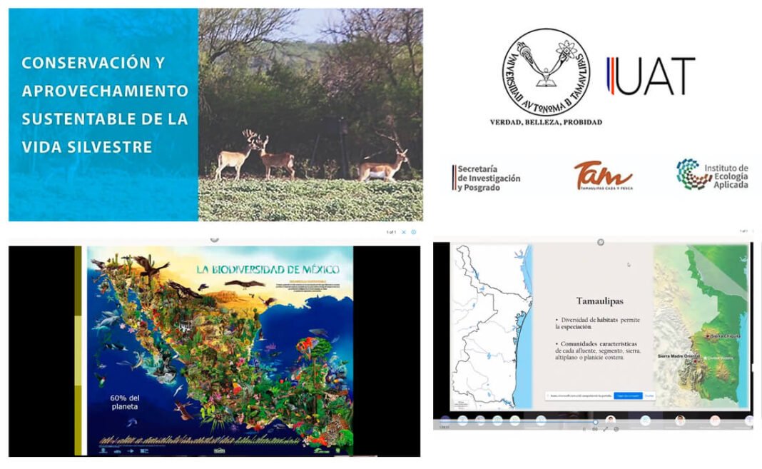 Imparte UAT curso sobre conservación y aprovechamiento de la vida silvestre
