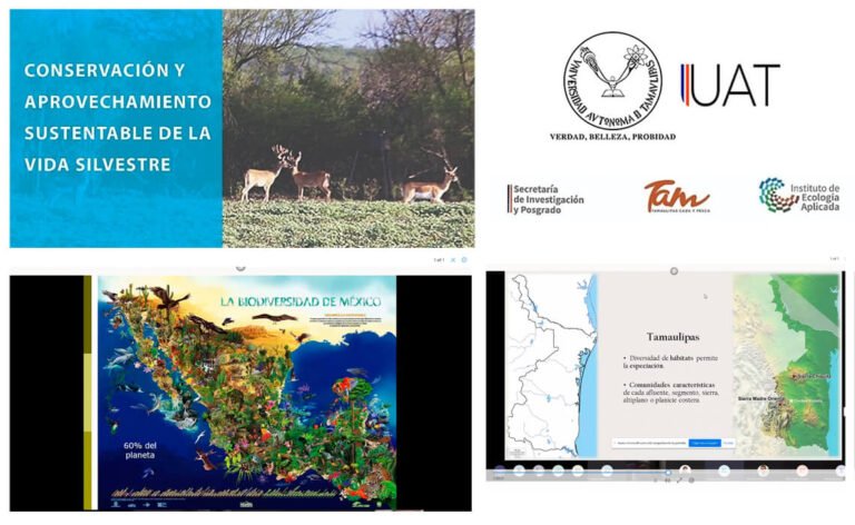 Imparte UAT curso sobre conservación y aprovechamiento de la vida silvestre