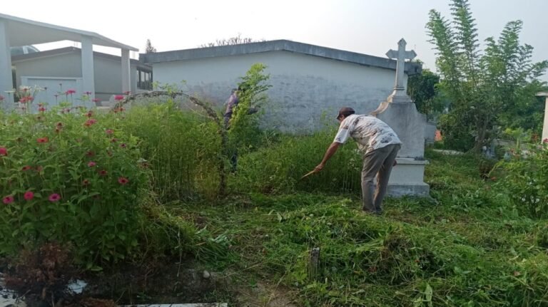 Retiran maleza en el panteón municipal