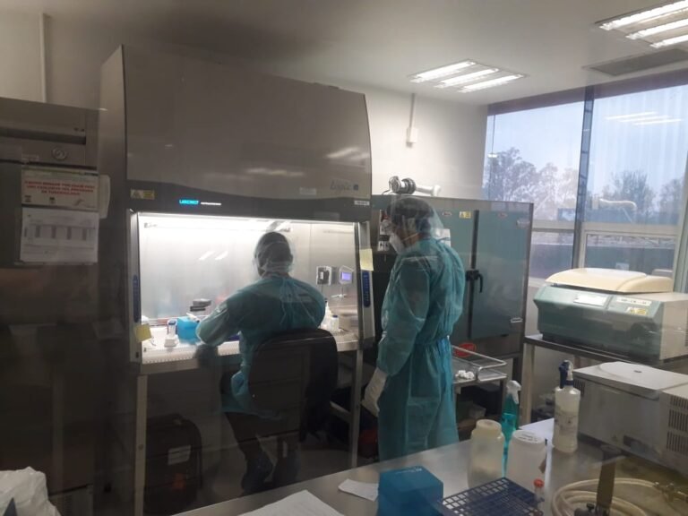 Pandemia de COVID-19 registra 114 nuevos casos en Tamaulipas, pide Salud extremar cuidados