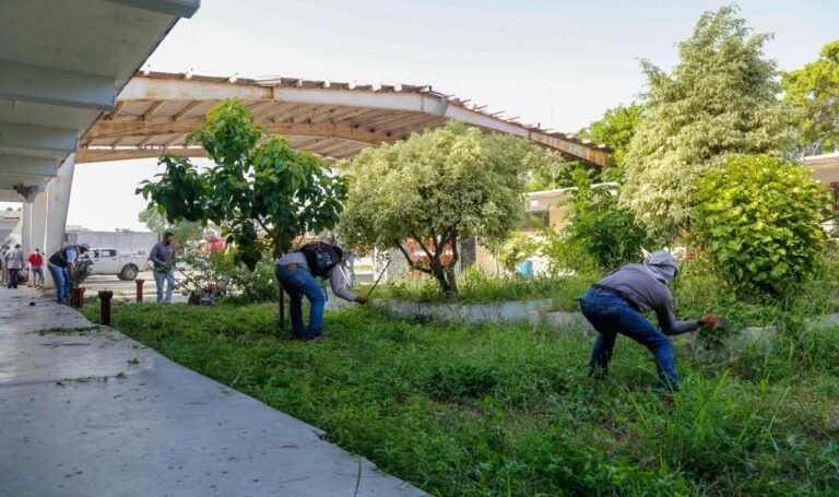 Emprende Gobierno de Madero Intensa Jornada de Mantenimiento en escuelas