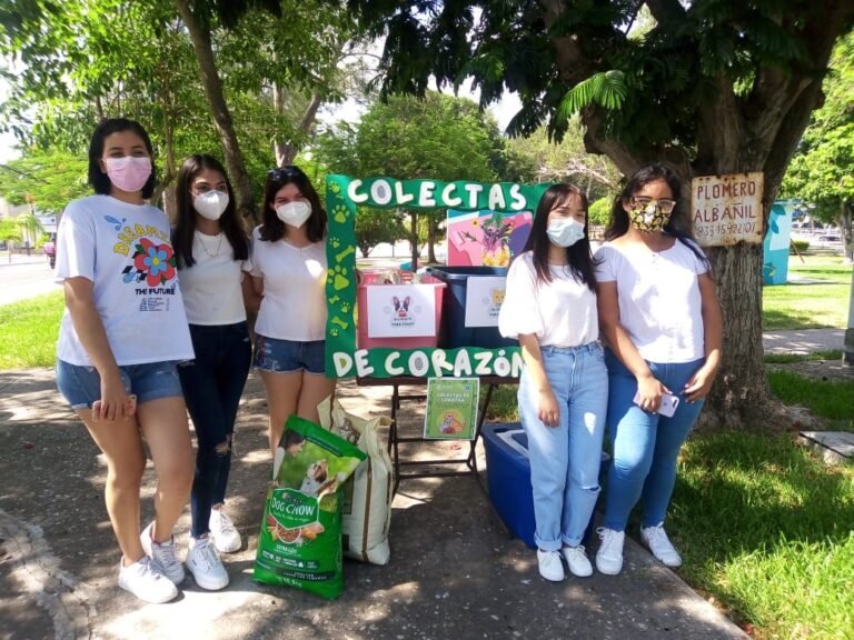 Colectan universitarios alimentos para perros y gatos sin hogar