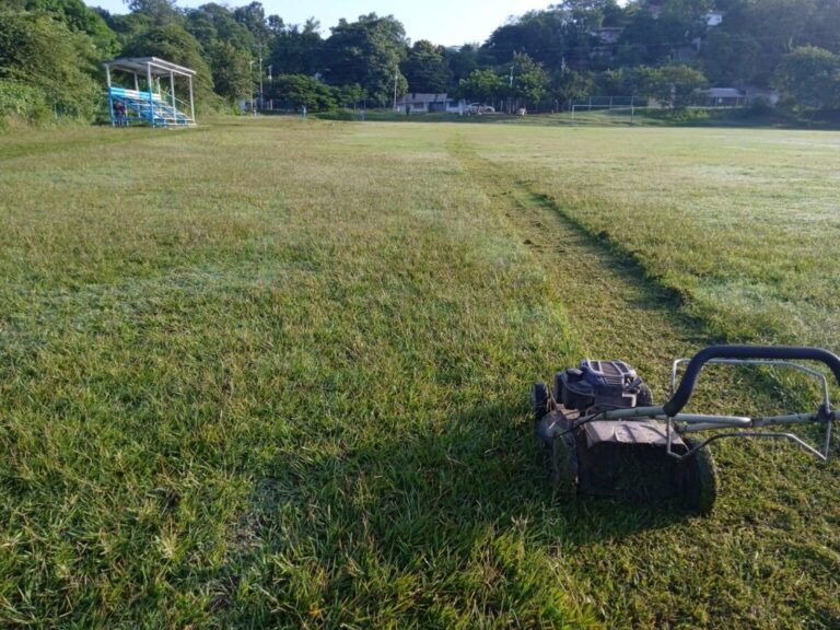 En Tantoyuca siguen dando mantenimiento a espacios deportivos y recreación