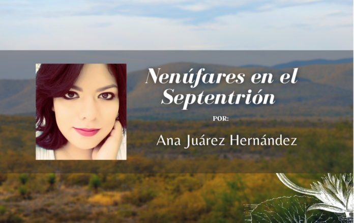 Nenufares-en-el-Septentrion-2