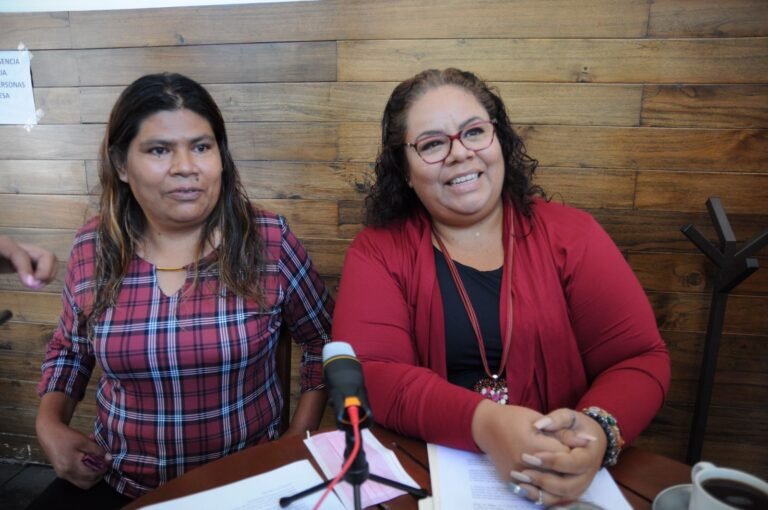 Será el OPLE quien designe cómo se asignarán las plurinominales en el Congreso 