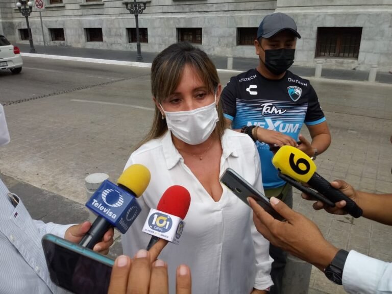Seguro de desempleo será un respiro para un millón de mexicanos: Rosa González