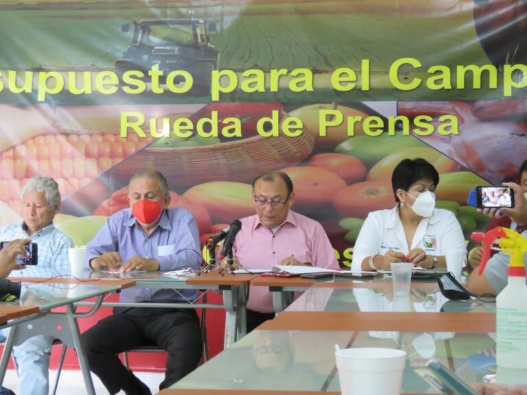 Desarrollo del campo mexicano no es prioridad del gobierno federal: Movimiento Campesino Veracruzano  