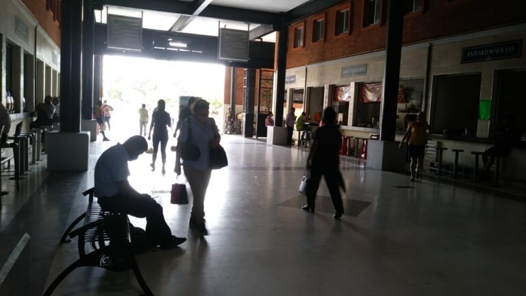 Causa CFE pérdidas en el nuevo Mercado de hasta $100 mil diarios por corte de luz