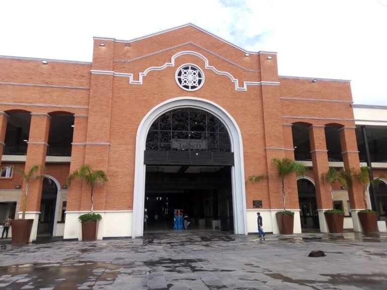 Locatarios de nuevo mercado esperantener 80% más de ventas en fin de año