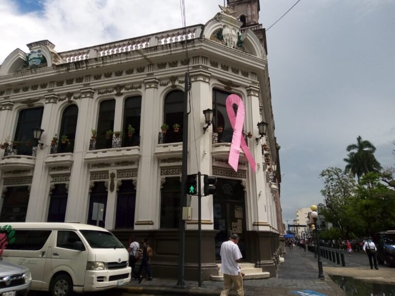 Persiste la violencia física y económica contra mujeres; 30 casos en DIF Tampico