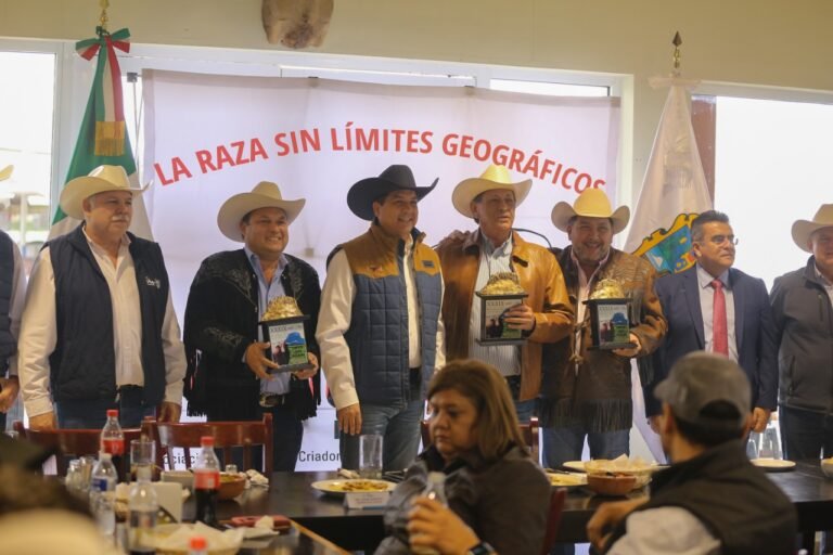 Tamaulipas y región noreste, líderes en producción de ganado Beefmaster