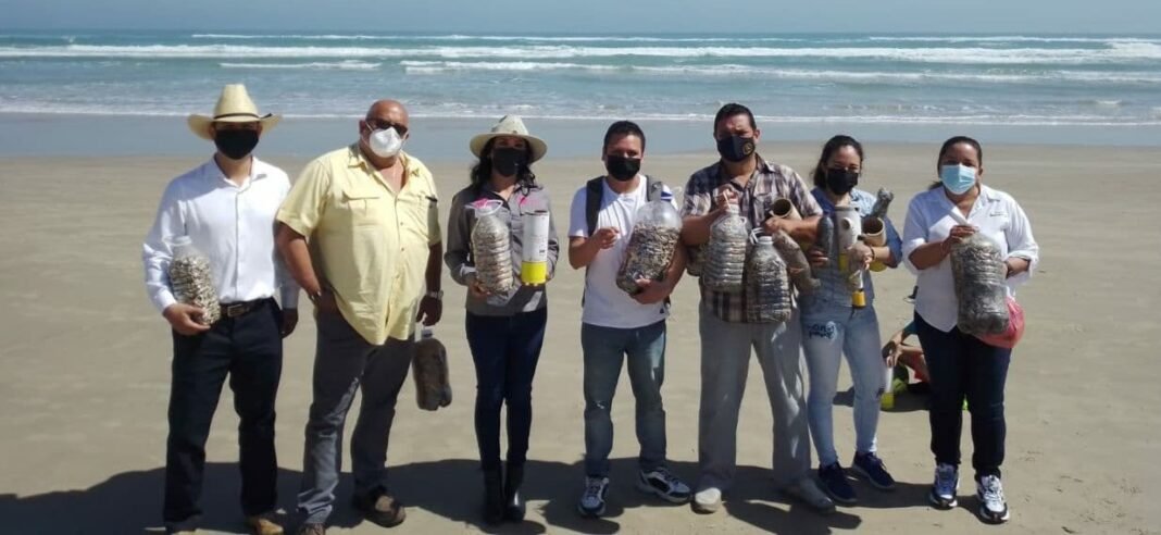 CONFIRMAN A PLAYA MIRAMAR COMO DESTINO TURÍSTICO SUSTENTABLE