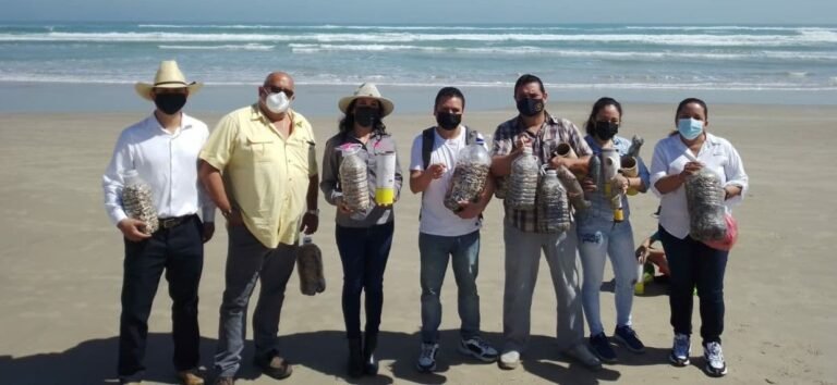 CONFIRMAN A PLAYA MIRAMAR COMO DESTINO TURÍSTICO SUSTENTABLE