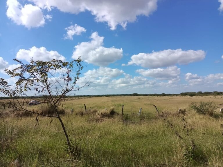 En Altamira ejidatarios comienzan a vender o rentar previos ante la falta de agua