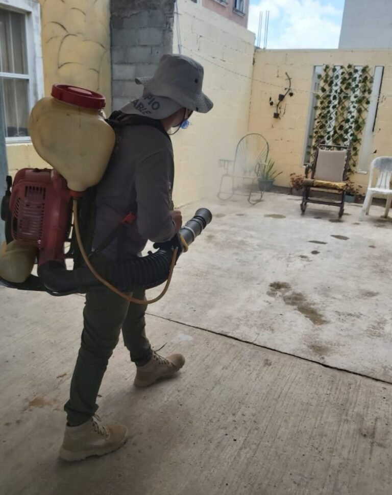INTENSA FUMIGACIÓN PREVENTIVA EN COLONIAS MADERENSES