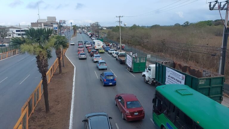 Recicladores llaman a no concesionar transporte y operación de basura