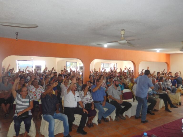 DEFRAUDAN CON FIDEICOMISO A CAÑEROS DE EL HIGO Y AL GOBIERNO FEDERAL