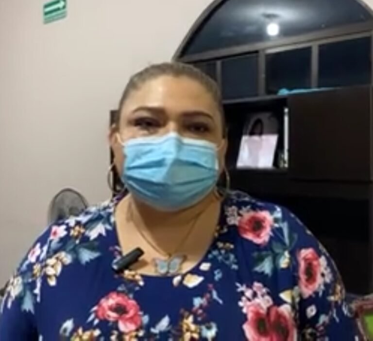 Mascotas podrán ser registradas por sus dueños