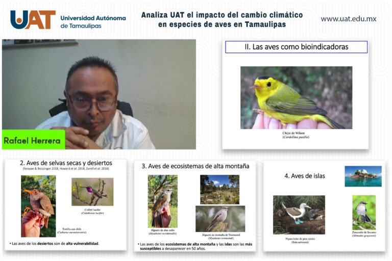 Analiza UAT el impacto del cambio climático en especies de aves