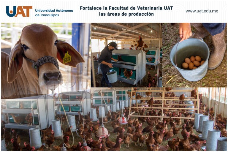 Fortalece UAT las áreas de producción de la Facultad de Veterinaria￼