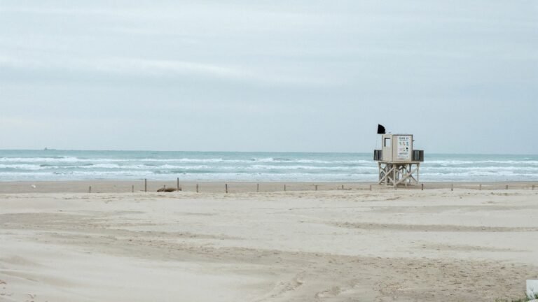 DESPIERTA ENTUSIASMO JORNADA DE LIMPIEZA EN LA PLAYA MIRAMAR