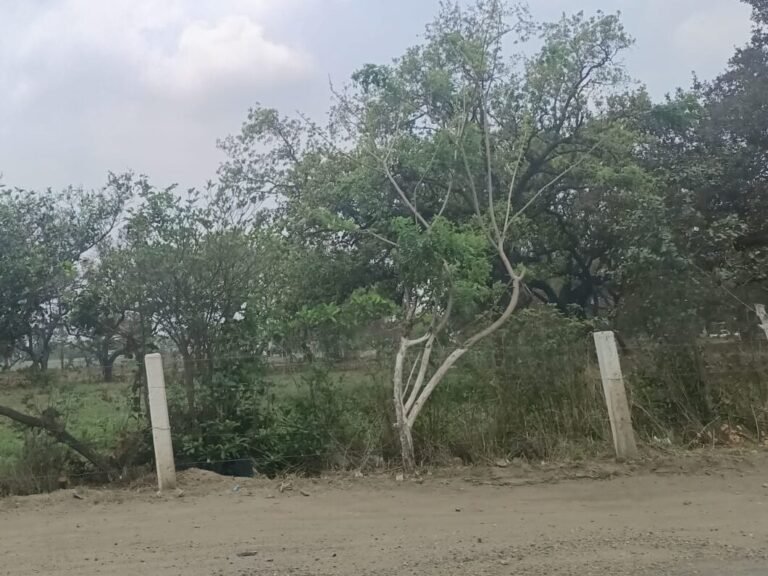 Ejidatarios demandan a PEMEX por uso indebido de Suelo en Altamira