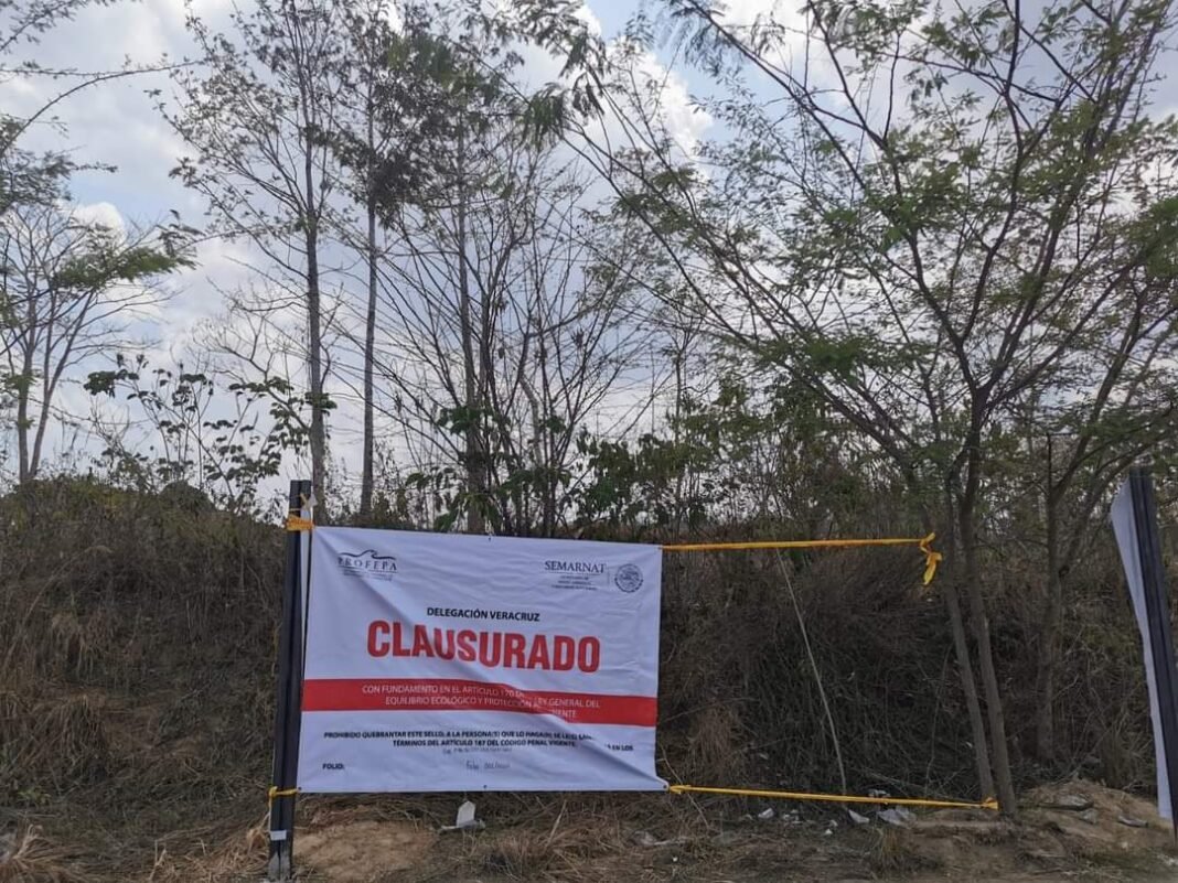Personal de Sedema y Profepa clausura las obras de la Plaza Comercial Imperial Las Ánimas