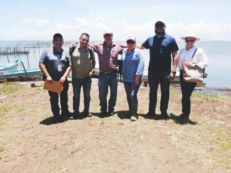 TENDRÁN CONECTIVIDAD DIGITAL  HABITANTES DE CABO ROJO