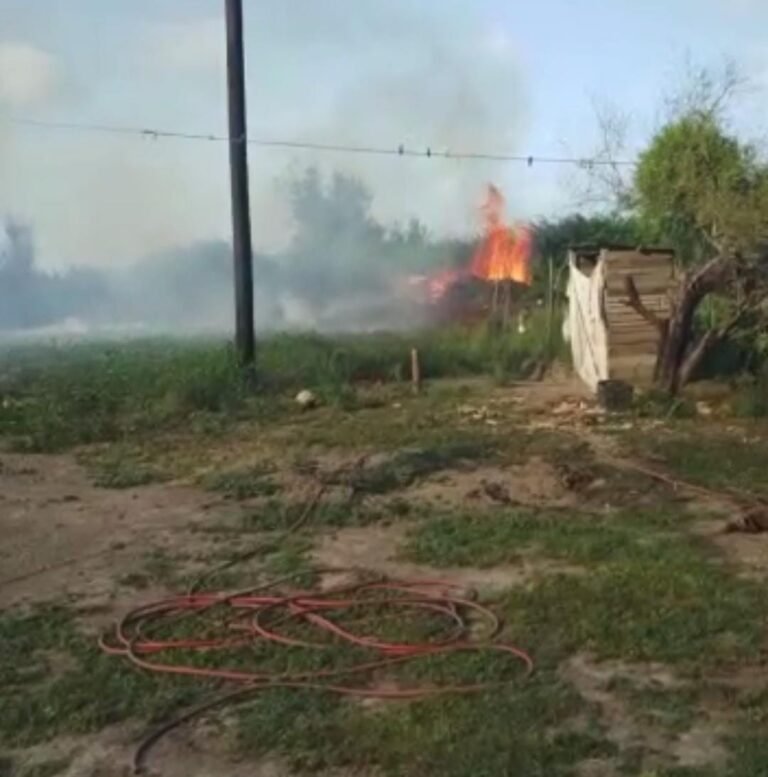 Práctica ilegal de tular, pone en peligro a habitantes de Cruz Grande en Altamira 