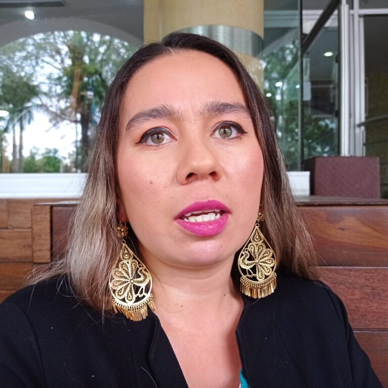 Feminicidio de Viridiana Moreno, mal llevado desde un principio por la FGE