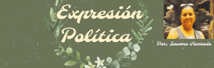 expresion-politica