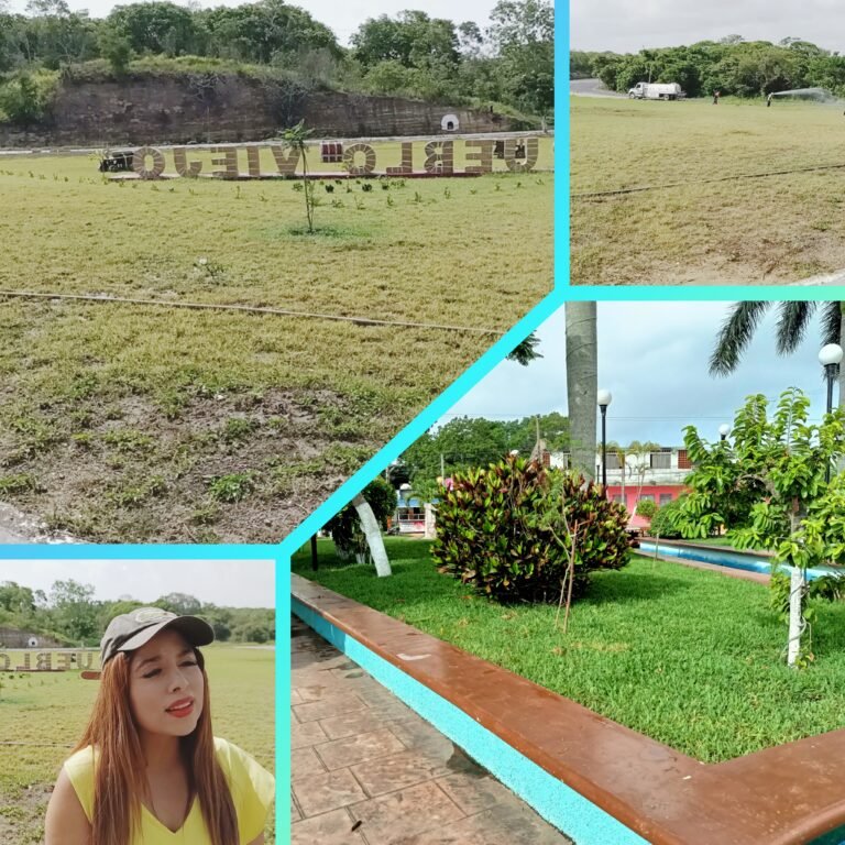 DAN MANTENIMIENTO A PARQUES Y JARDINES DE PUEBLO VIEJO