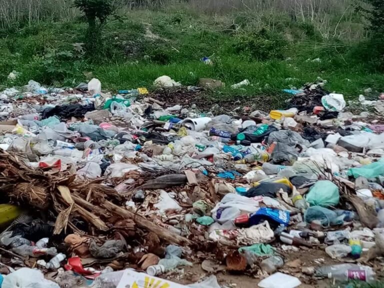 Sancionarán a personas que tiren o quemen  basura.