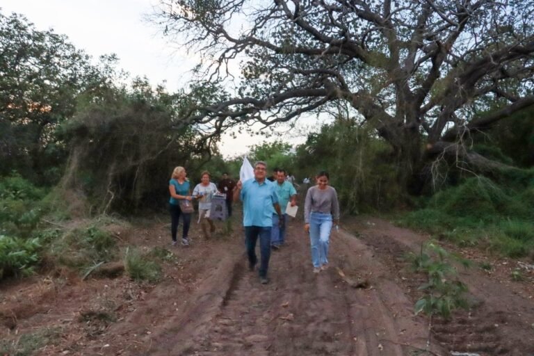 CREARÁ GOBIERNO DE ALTAMIRA CIRCUITO VIAL 