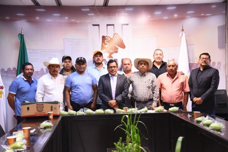 Asegura Diputado respaldo a productores de chayote del estado