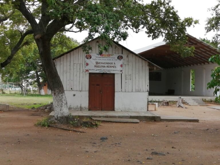 Ratas de dos patas   sustraen laminas de  iglesia en Altamira ￼