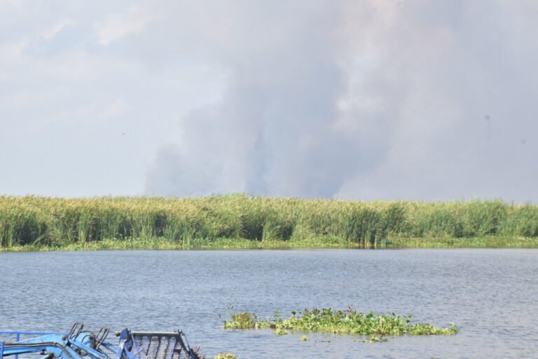 Conagua dice que Tamaulipas está muy lejos de tener un problema como Nuevo León