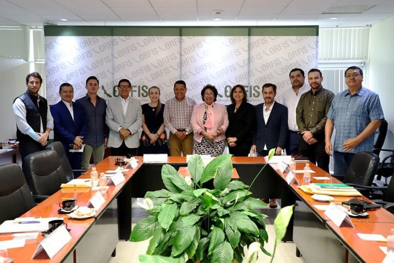 Desarrollan Comisión de Vigilancia y Orfis trabajo conjunto