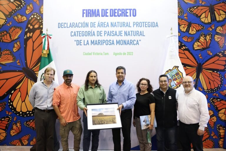 Crean en Tamaulipas primer área natural protegida para preservar la ruta migratoria de la Mariposa Monarca