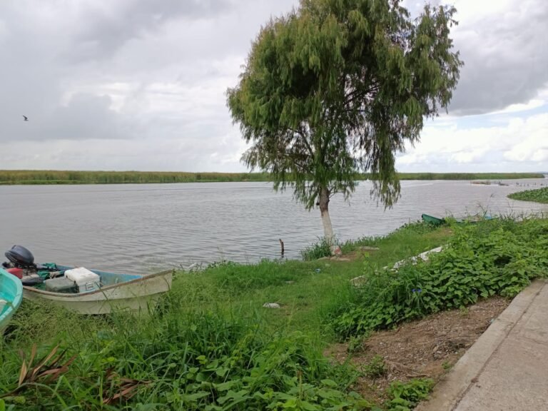 Ante posible venida de agua, autoridades vigilan sistema lagunario