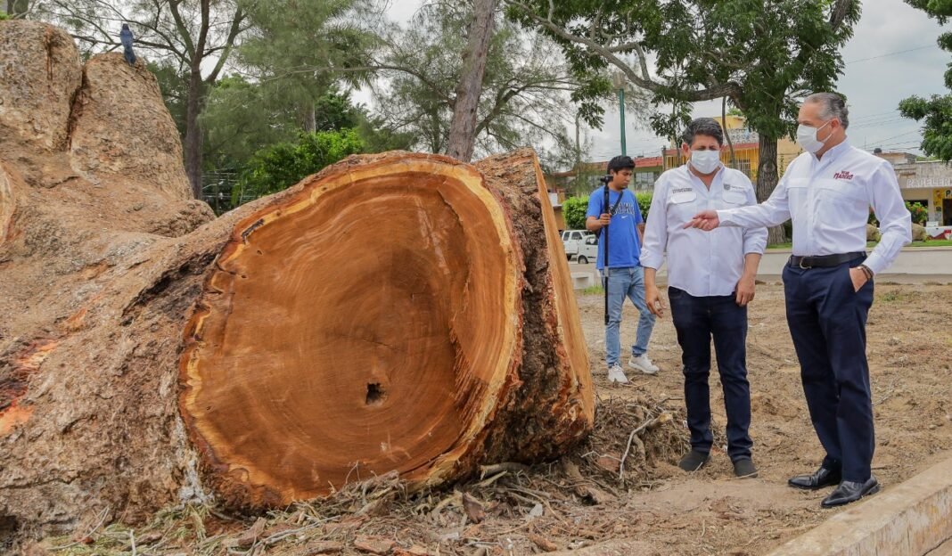 Supervisan trabajos de remodelación en emblemática plaza de Ciudad Madero