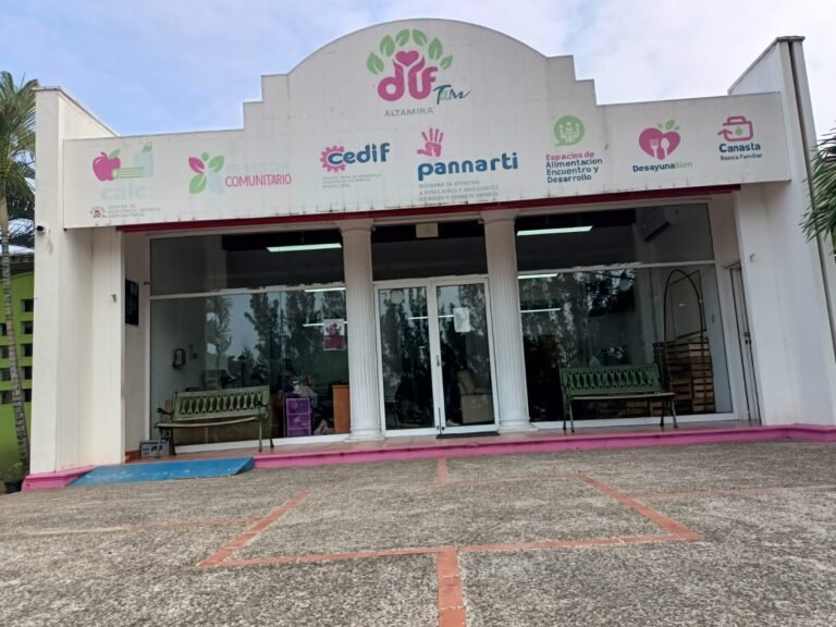 Menor de edad encontrada en Altamira fue puesta a disposición del DIF Tampico