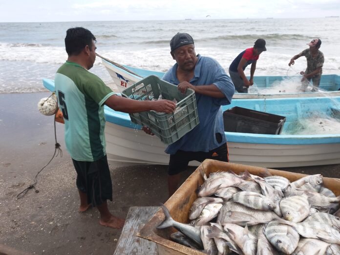 IMG_20221004_121644_HDR