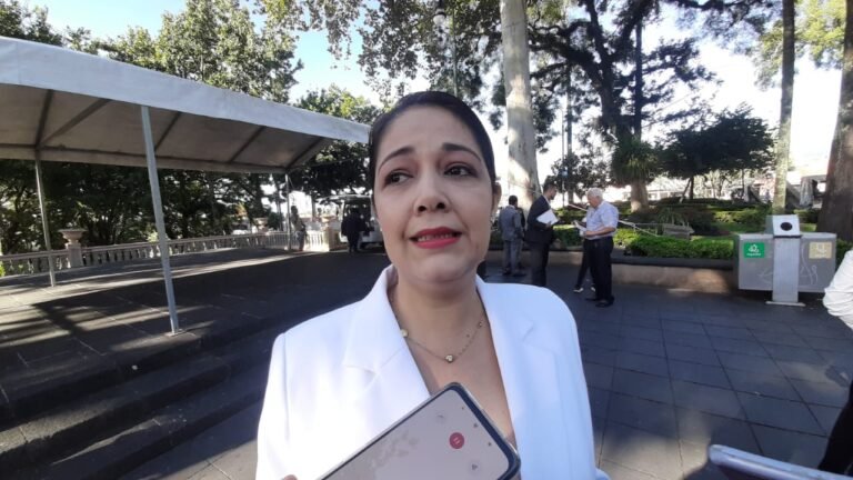 Más de 40 ayuntamientos incumplencon transparentar su información: IVAI