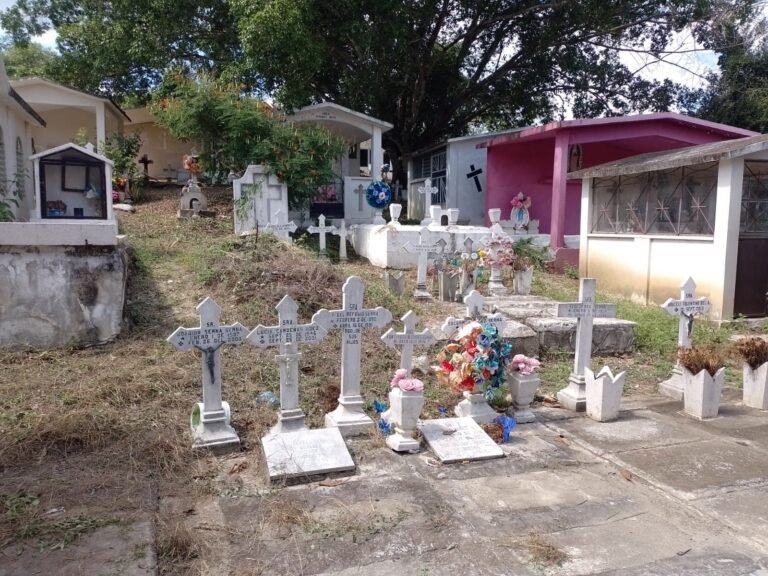 Realizan constante limpieza en el panteón municipal