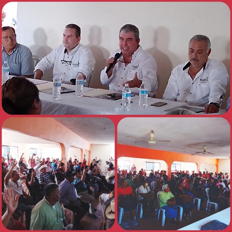 VERAZ INFORME DE RESULTADOS RINDIO EL ING. LUIS GOLDARACENA CONTRERAS