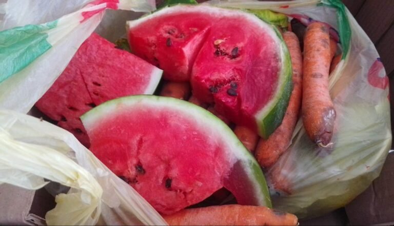 Denuncian madres de familia del CAIC Miramar desperdicio de comida